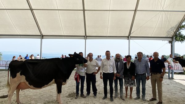 Molino Ruedas York Windbrook conquista o primeiro Expogan en Santander