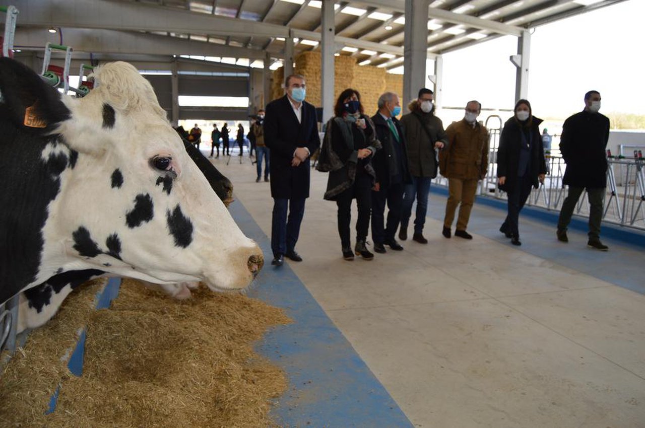 Inaugurada la granja experimental de vacuno de leche de la USC
