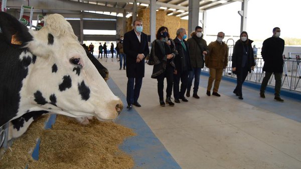 Inaugurada la granja experimental de vacuno de leche de la USC