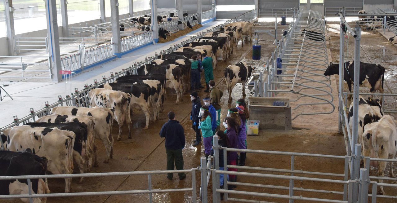 A práctica, unha dimensión esencial para a Facultade de Veterinaria de Lugo