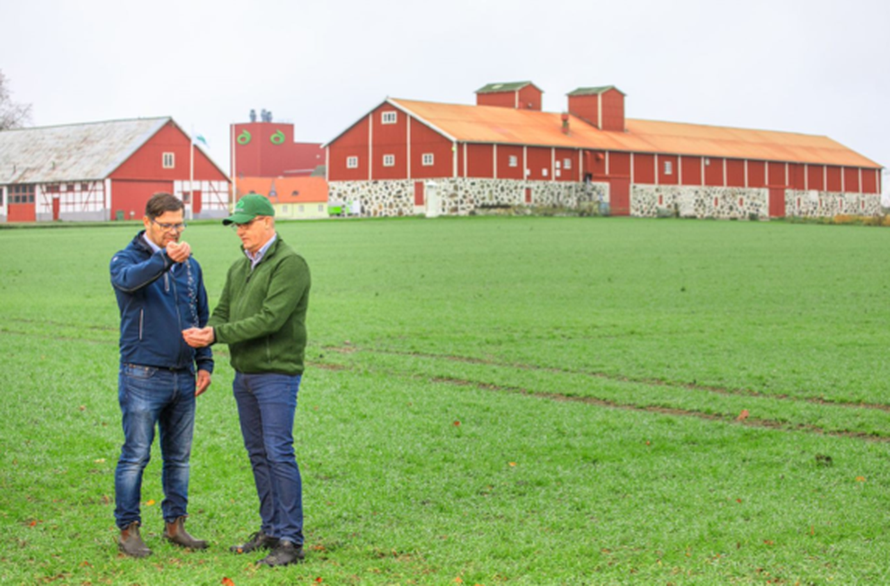Yara y Lantmännen firman o primeiro acordo comercial de fertilizantes verdes
