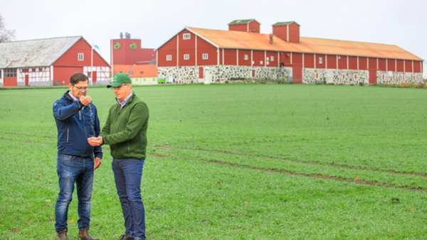 Yara y Lantmännen firman o primeiro acordo comercial de fertilizantes verdes