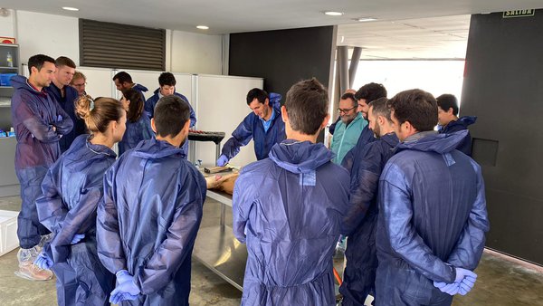 Os talleres prácticos de Detect & Protect continúan a súa xira por España con máis de 150 veterinarios formados