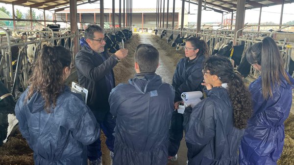 Éxito de las sesiones prácticas del curso Experto Universitario en Sanidad Bovina de Hipra