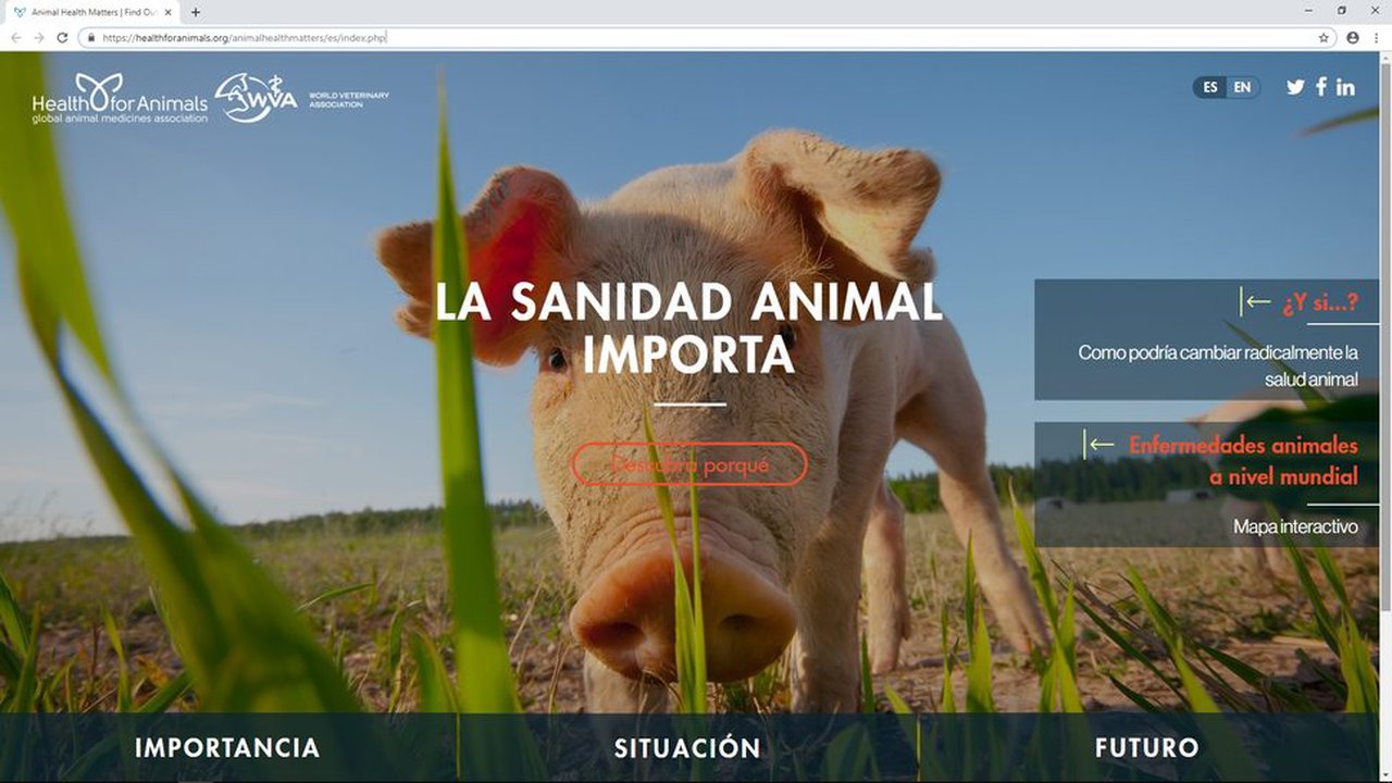 Novo portal en español sobre saúde veterinaria