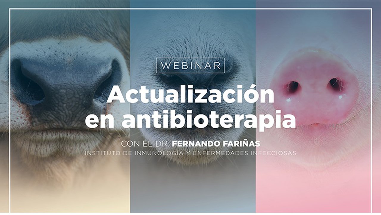Virbac ofrece este jueves un webinario sobre antibioterapia