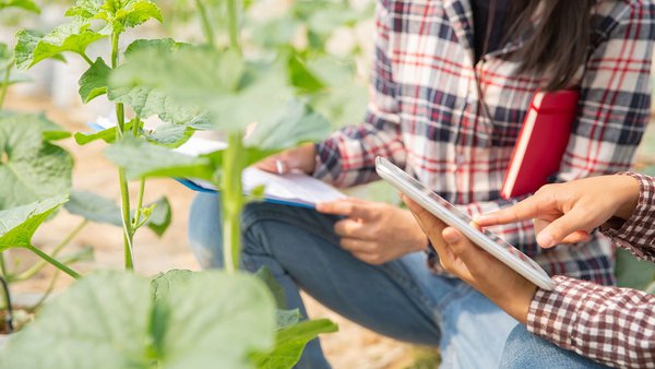 O Goberno aproba un real decreto para incentivar a igualdade das mulleres nas explotacións agrarias de titularidade compartida