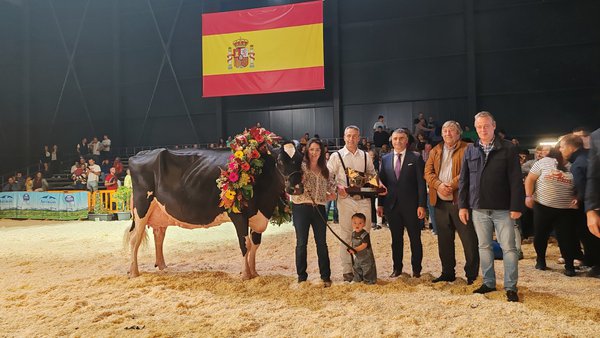 ¡Llinde Ariel Jordan, elegida por quinta vez consecutiva vaca gran campeona nacional!