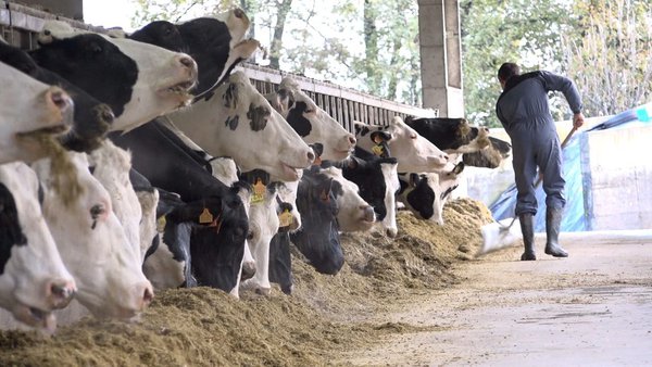 La Xunta publica recomendaciones y medidas preventivas para el sector agroalimentario
