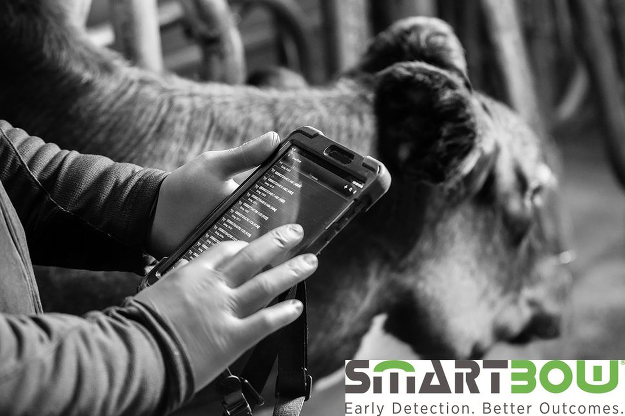 Campaña de Zoetis sobre os beneficios de SmartBow