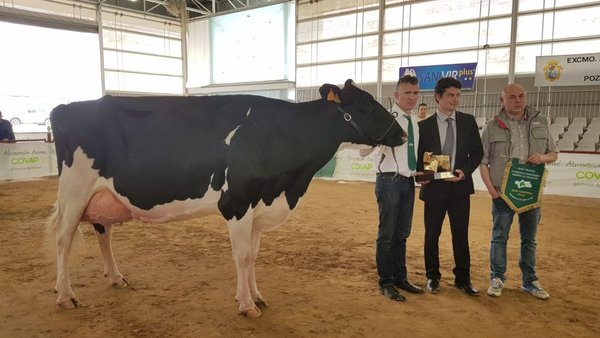Triunfo de Atalayuela Kampman Reinalda no Rexional de Andalucía