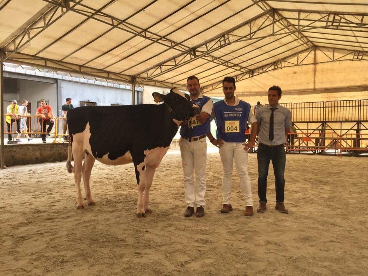 A gandería Rato recolle o premio de xovenca gran campiona en Feiradeza