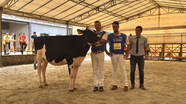 A gandería Rato recolle o premio de xovenca gran campiona en Feiradeza