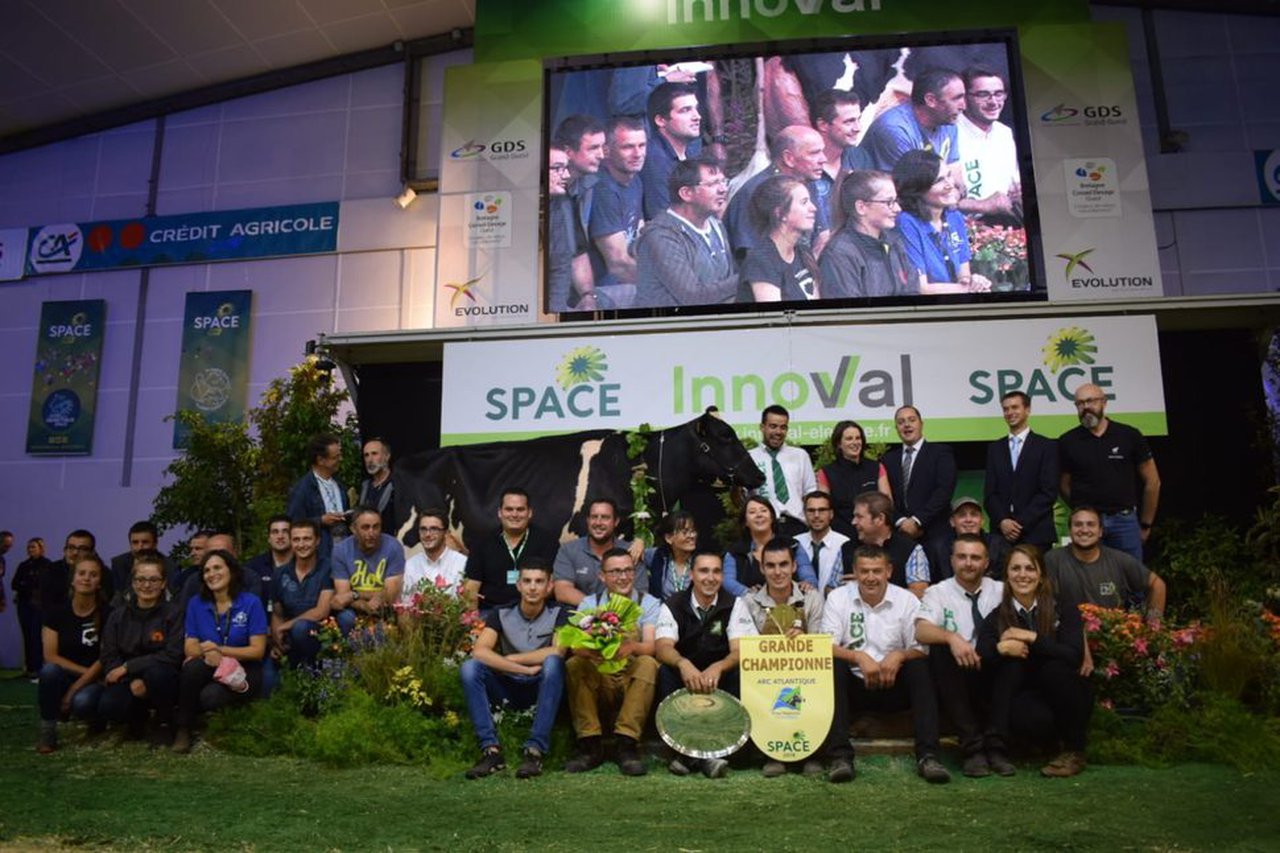 Elixida a vaca gran campiona do Prim’Holstein Atlantique 2018!