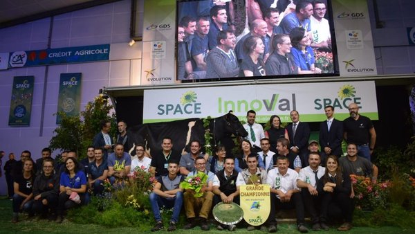 Elixida a vaca gran campiona do Prim’Holstein Atlantique 2018!