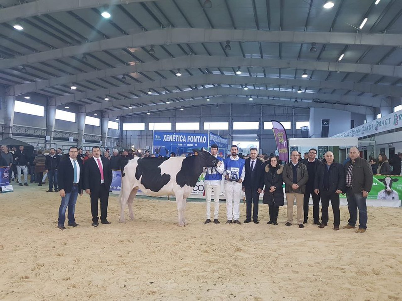 Podio para Rey 760 Zyna  High Octane como xovenca gran campiona de Galicia 2018