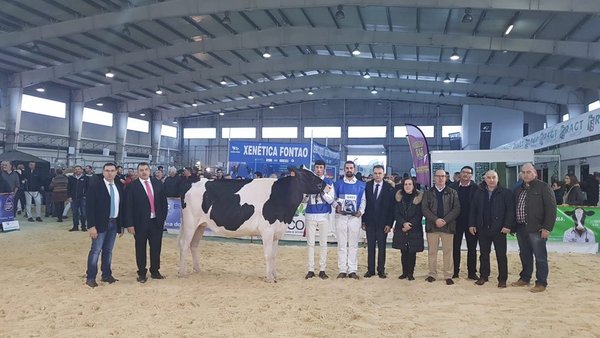 Podio para Rey 760 Zyna  High Octane como xovenca gran campiona de Galicia 2018