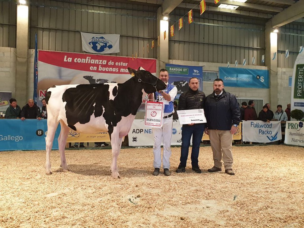 Rey 833 Beemer Zynal proclámase xovenca gran campiona da Moexmu