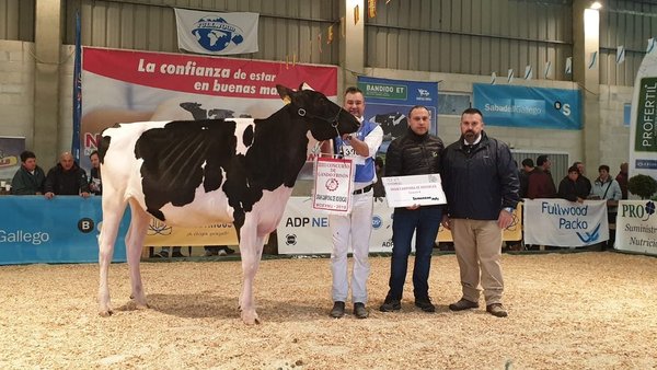Rey 833 Beemer Zynal proclámase xovenca gran campiona da Moexmu