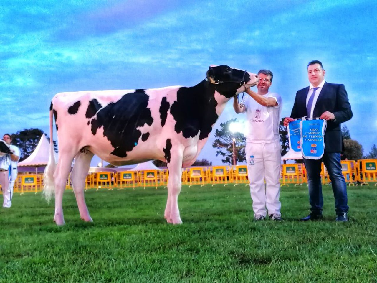 Badiola Solomon Valiosa se proclama novilla gran campeona en Llanera