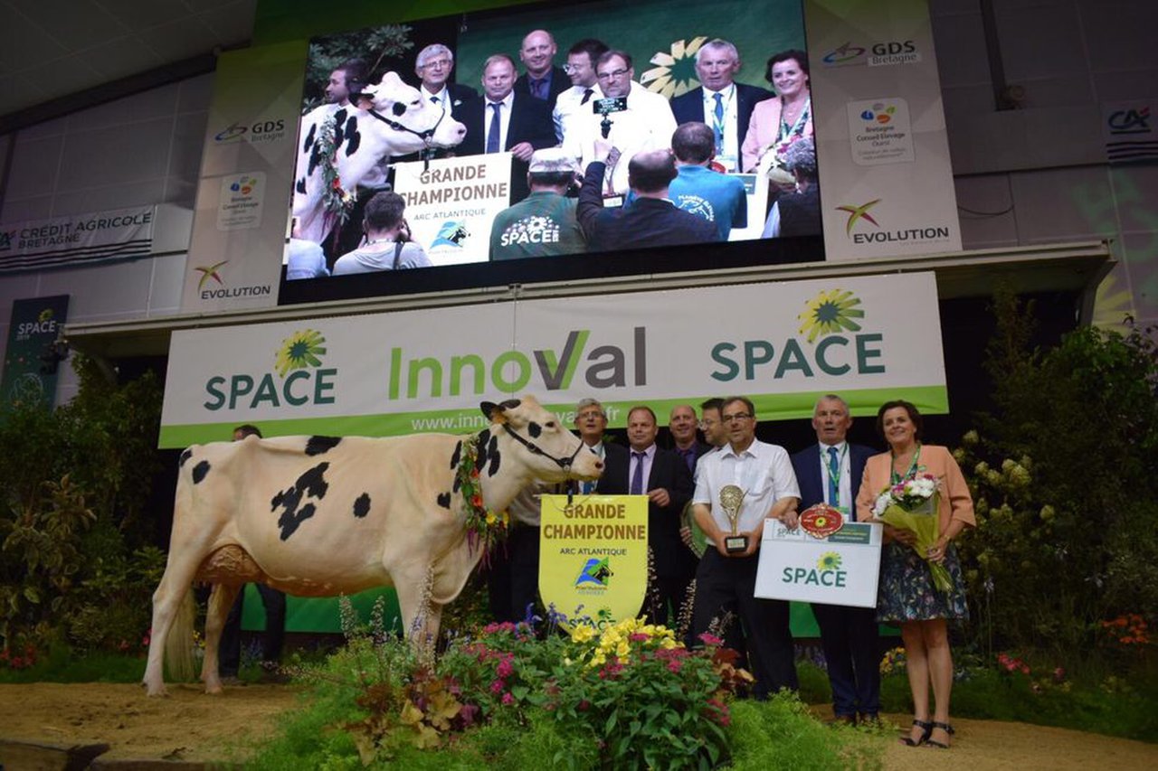 Izella du Mezou, vaca gran campiona do Prim’Holstein Atlantique 2019