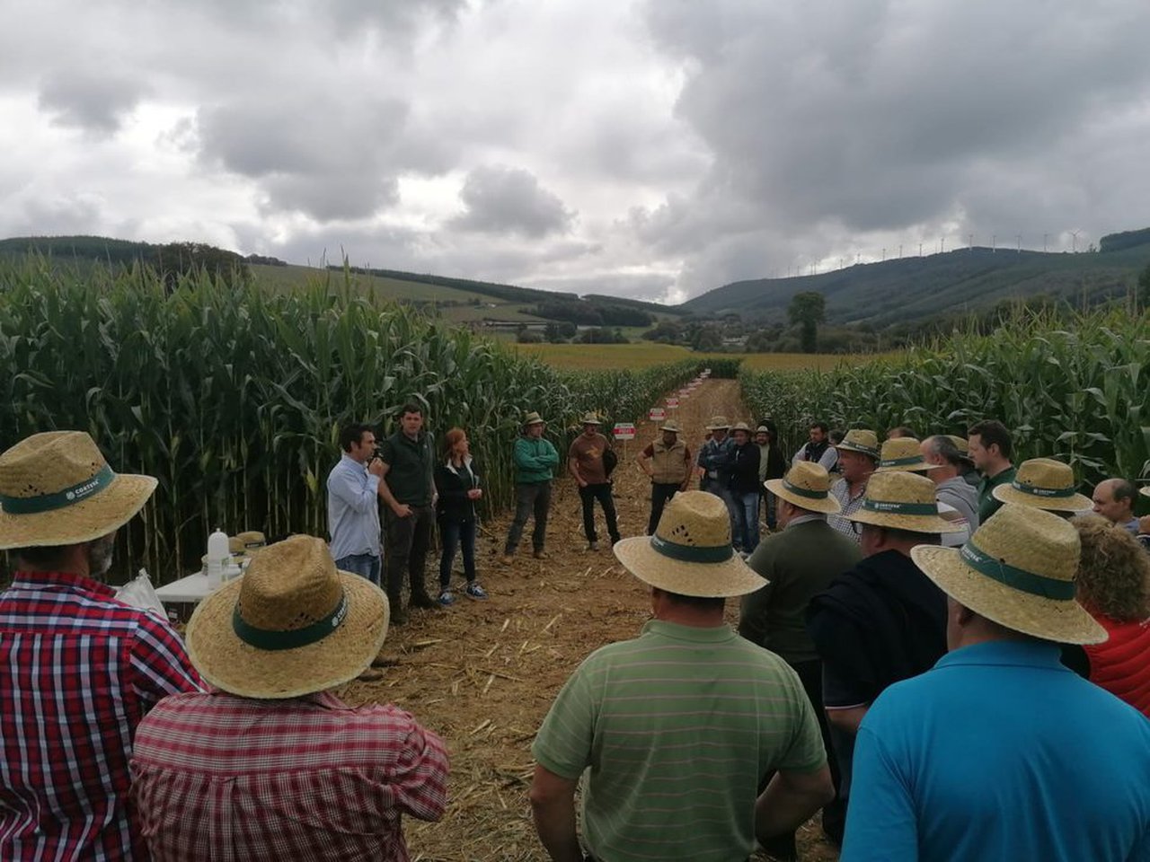 Pioneer presentó sus variedades en Lugo