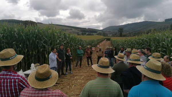 Pioneer presentou as súas variedades en Lugo