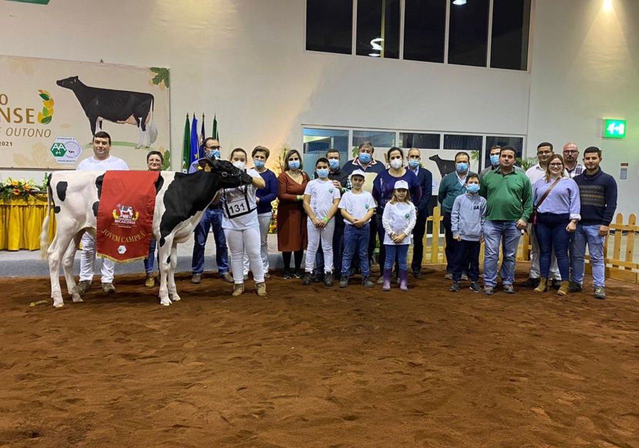 Melos Rey Telma proclámase xovenca gran campiona