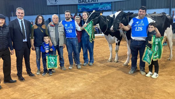 Benisegui Byway Kala, vaca gran campioa de Menorca 2023