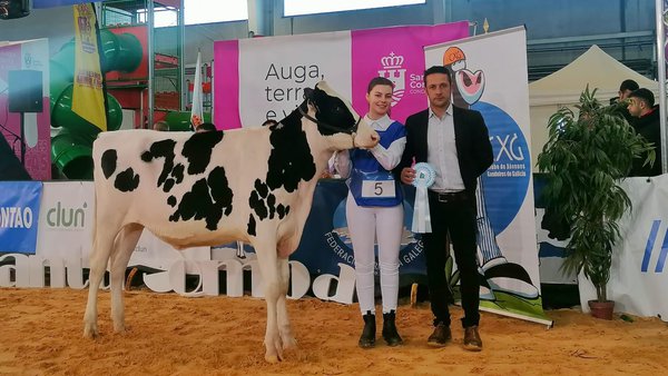 Santa Comba pone punto final a su fin de semana ganadero con el Concurso de Jóvenes Manejadores