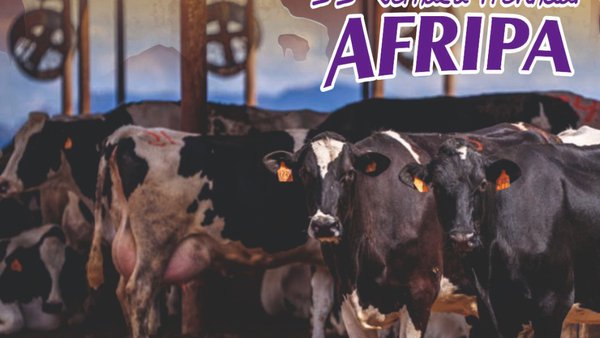 La II Jornada Provincial Afripa analizará el presente y futuro del sector frisón palentino