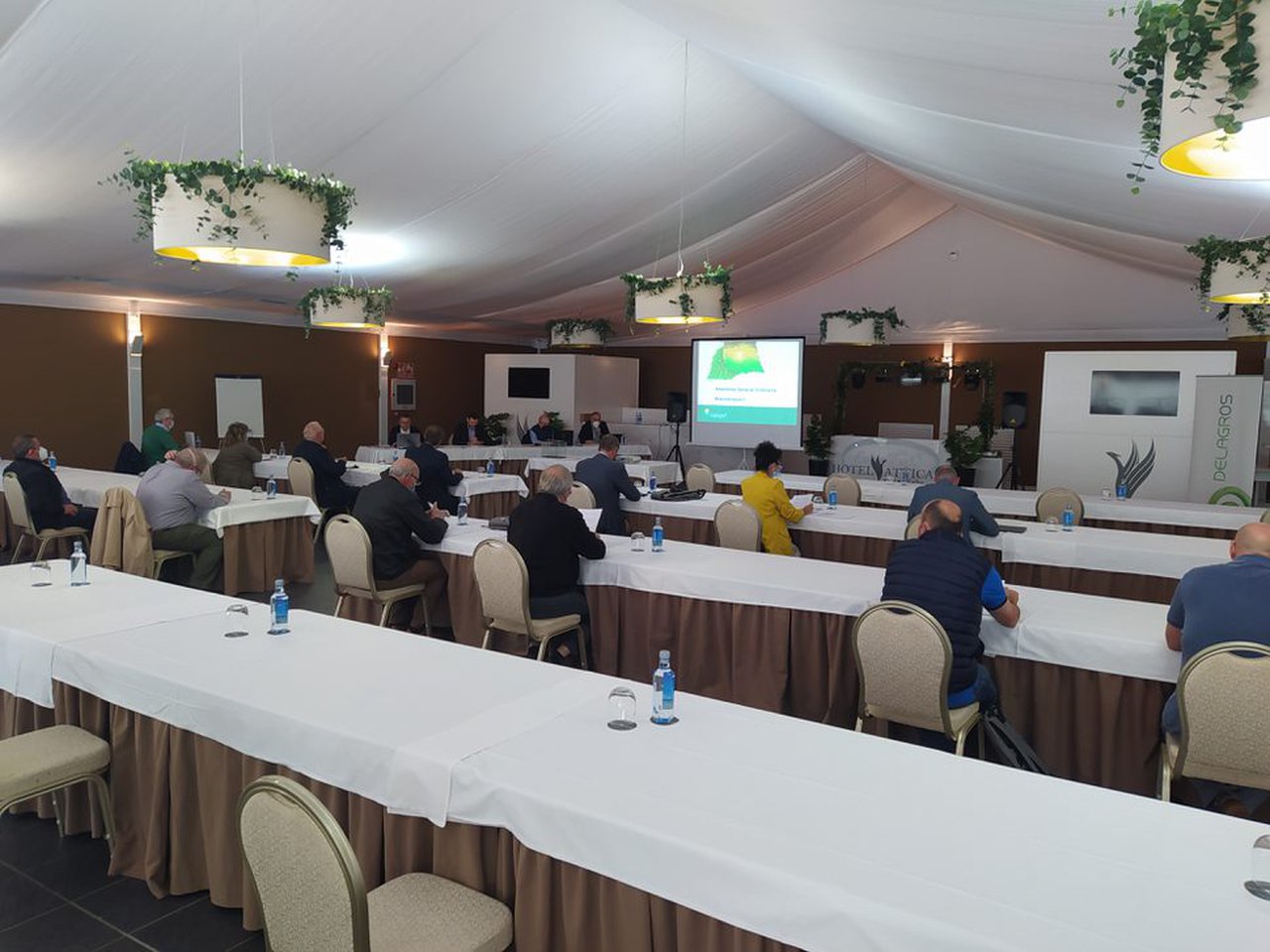 Delagro consegue superar os 200 millóns de euros en 2020, a pesar da pandemia