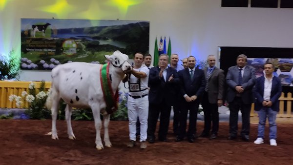 Vitoria para Pereira Jacoby Alicia no campionato de novillas