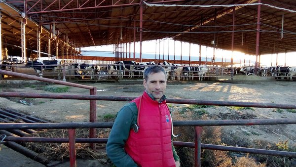 Publicados los nombres de los galardonados en la última edición de los Premios BVD Zero España