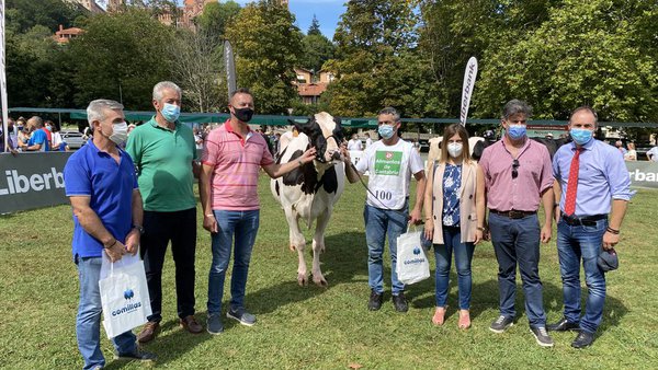 Llinde Nika Beemer, de SAT Ceceño, gaña o concurso de gando frisón de Comillas