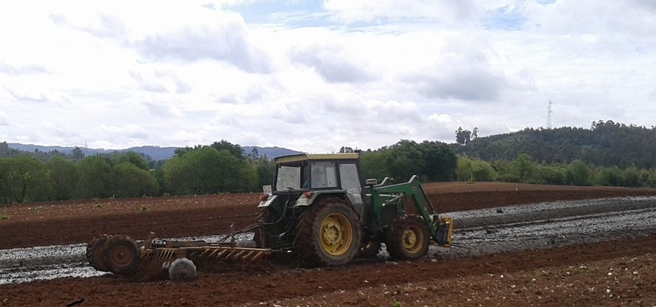 Mellora da eficiencia da fertilización nitroxenada nos cultivos forraxeiros