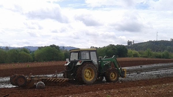 Mellora da eficiencia da fertilización nitroxenada nos cultivos forraxeiros