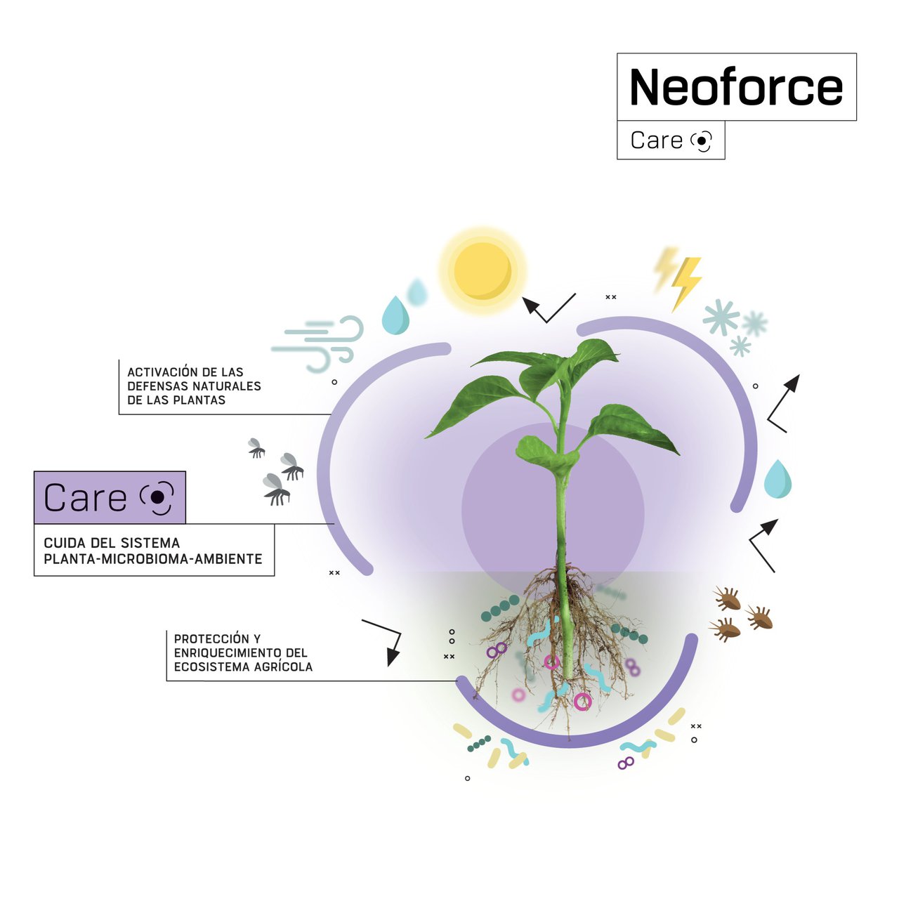 Fertiberia TECH presenta Neoforce Care, su nueva gama de productos biotecnológicos