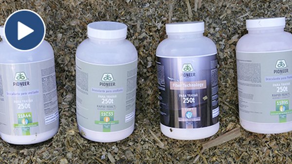 Corteva presenta os inoculantes Pioneer específicos para ensilado de millo