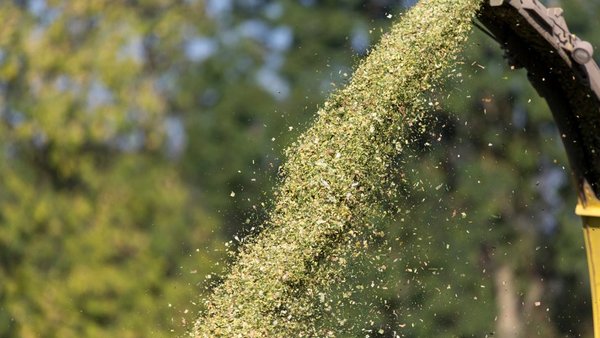 Nova xornada sobre ensilado de millo en Mouriscade