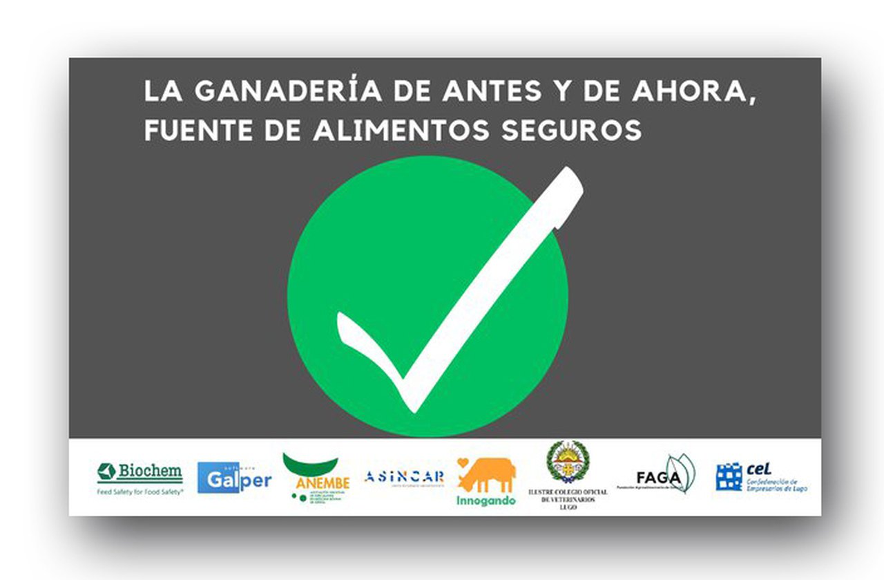 Xornada sobre a gandería como fonte de alimentos seguros a próxima semana en Lugo, Oviedo e León