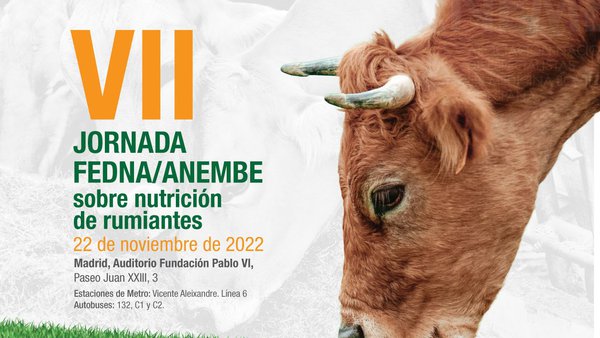 A xornada Fedna-Anembe será o 22 de novembro