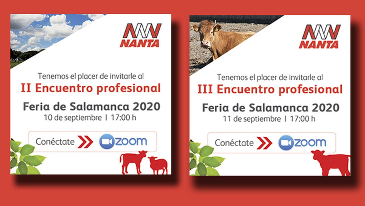 Nanta celebra un ano máis os seus Encontros Profesionais no marco de Feira de Salamanca