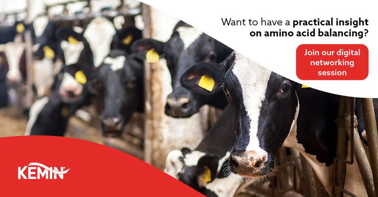 Webinarios de Kemin sobre formulación en base a aminoácidos