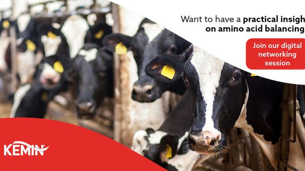 Webinarios de Kemin sobre formulación en base a aminoácidos