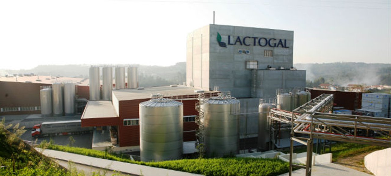 Lactogal comunica unha subida do prezo de 8 céntimos no leite