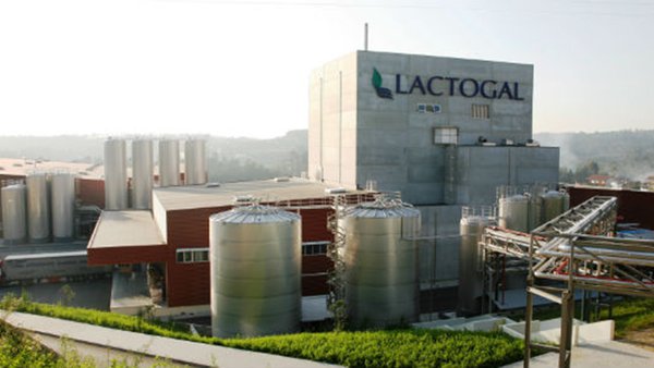 Lactogal comunica unha subida do prezo de 8 céntimos no leite