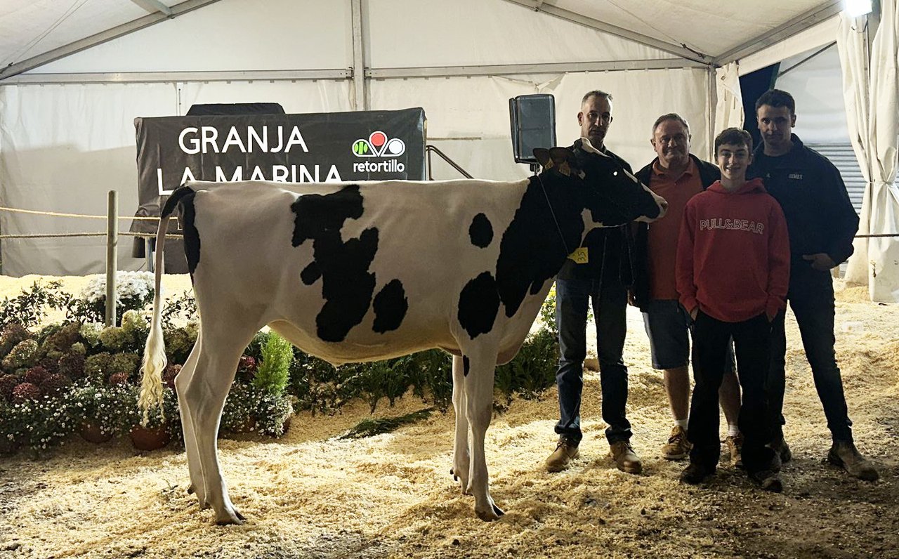 Marina Fitters Choice Amanda vendida por 4.350 euros