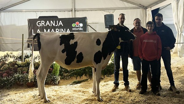 Marina Fitters Choice Amanda foi vendida por 4.350 euros.