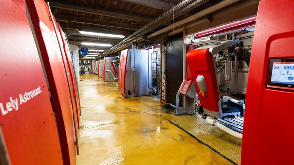 Galicia alcanza a cifra de 500 robots de muxido Lely